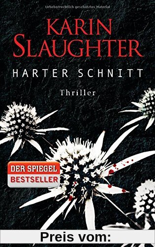 Harter Schnitt: Thriller (Georgia-Serie, Band 3)